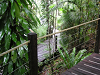 s_A_PICT0151_thumb.png